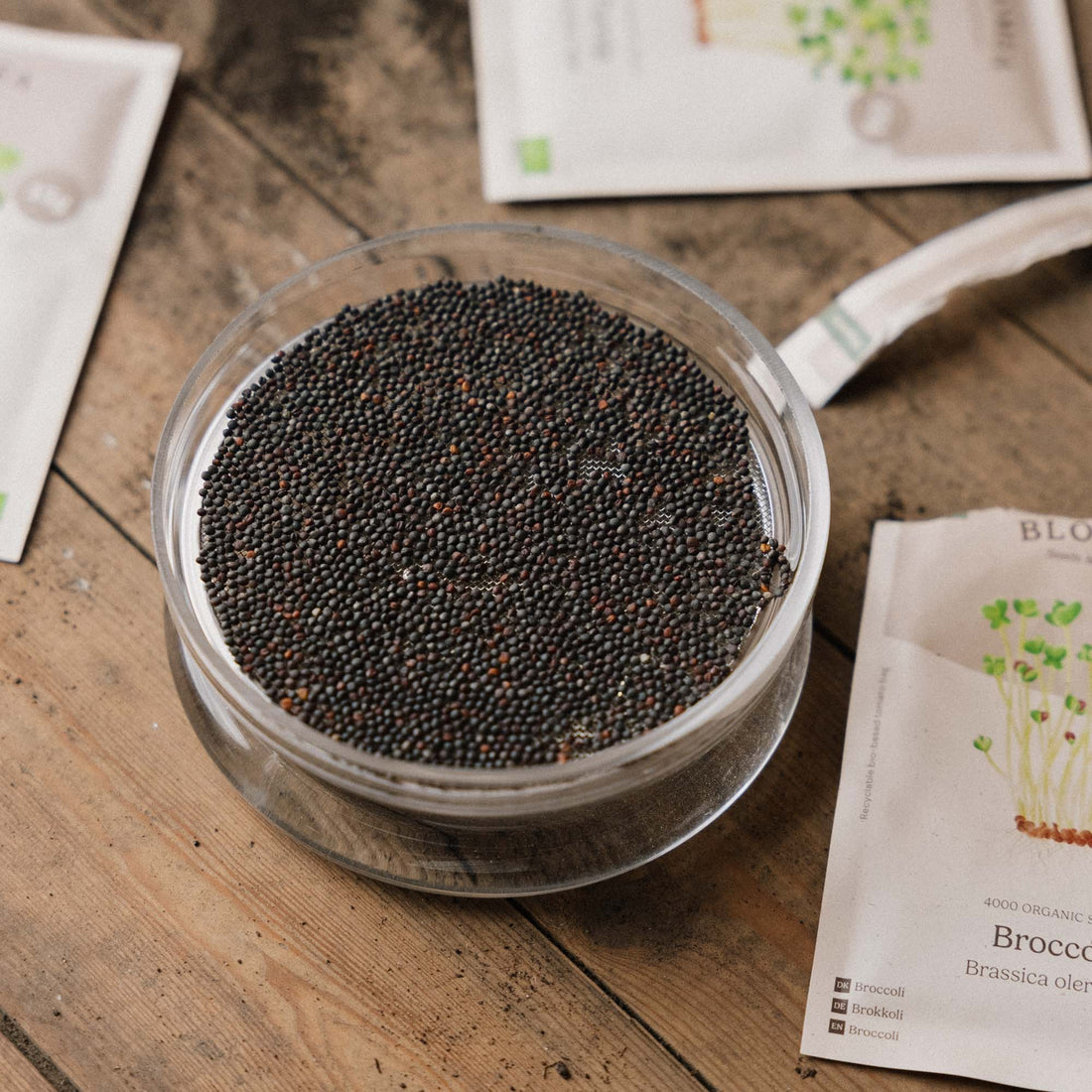 Keimschale für Microgreens