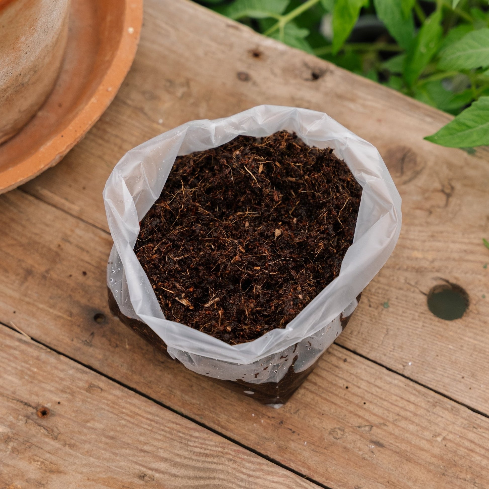 Kokosmuld 1 liter ‒ 10x10 cm