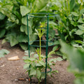 Konische Pflanzenstütze, L: 18 cm B: 18 cm H: 48 cm