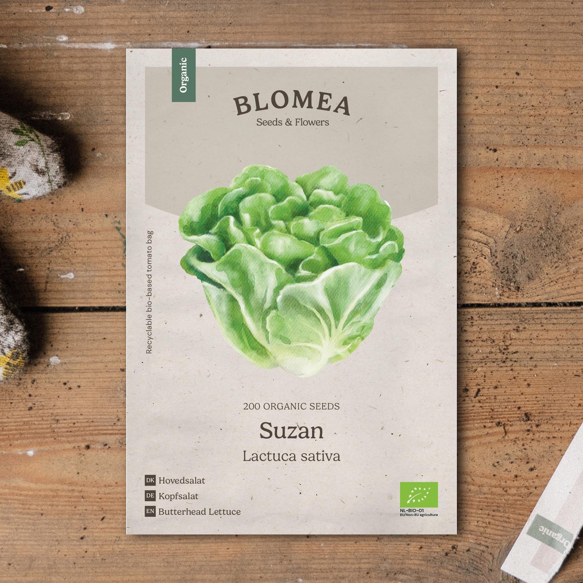 Kopfsalat Samen 'Suzan' - 200 Biosamen