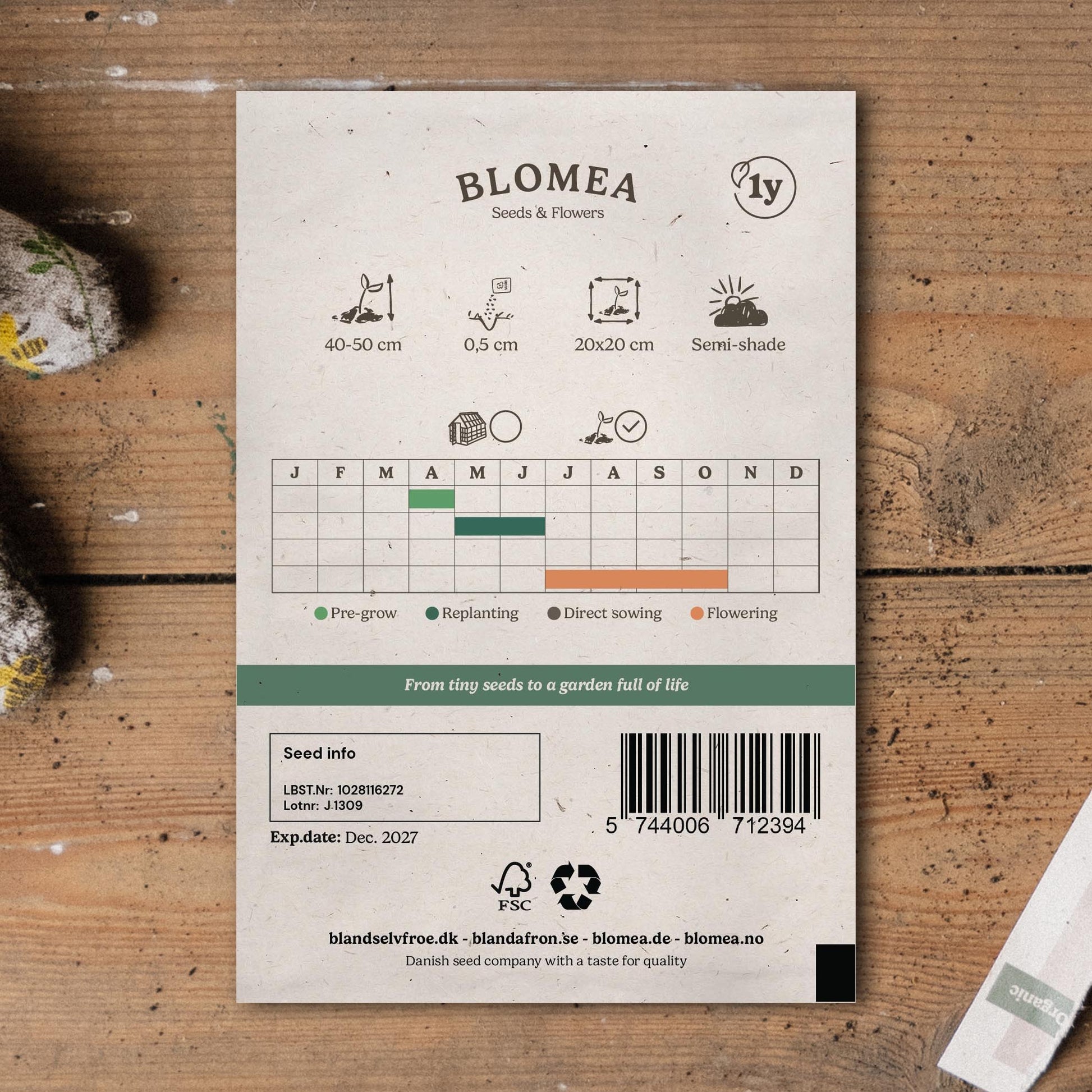 Liliput Zinnien Samen - 50 Biosamen