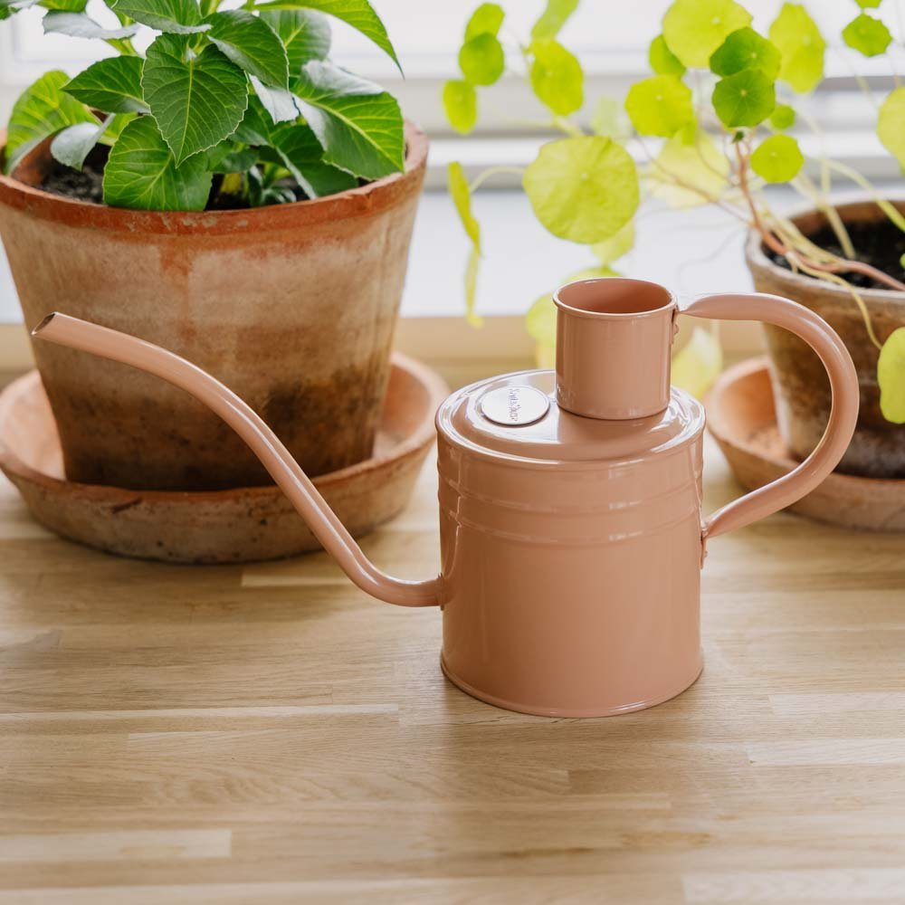 Metall Gießkanne für den Innenbereich, 1 L, Blush Pink
