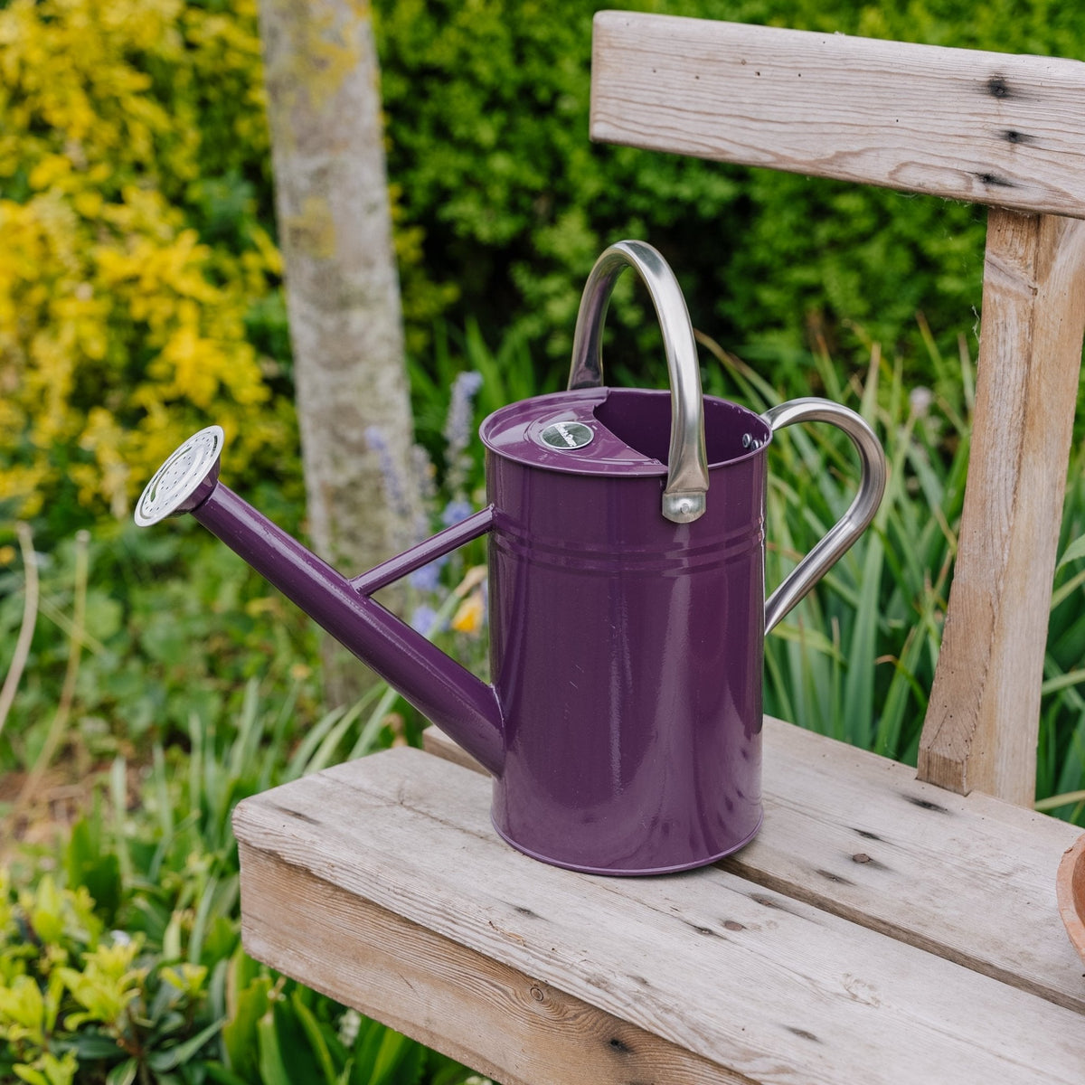 Metallgießkanne, 4,5 l, tiefviolett – haltbar & dekorativ
