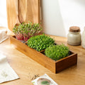 Microgreenbox mit Bambushalter - 6 Beutel Bio-Samen