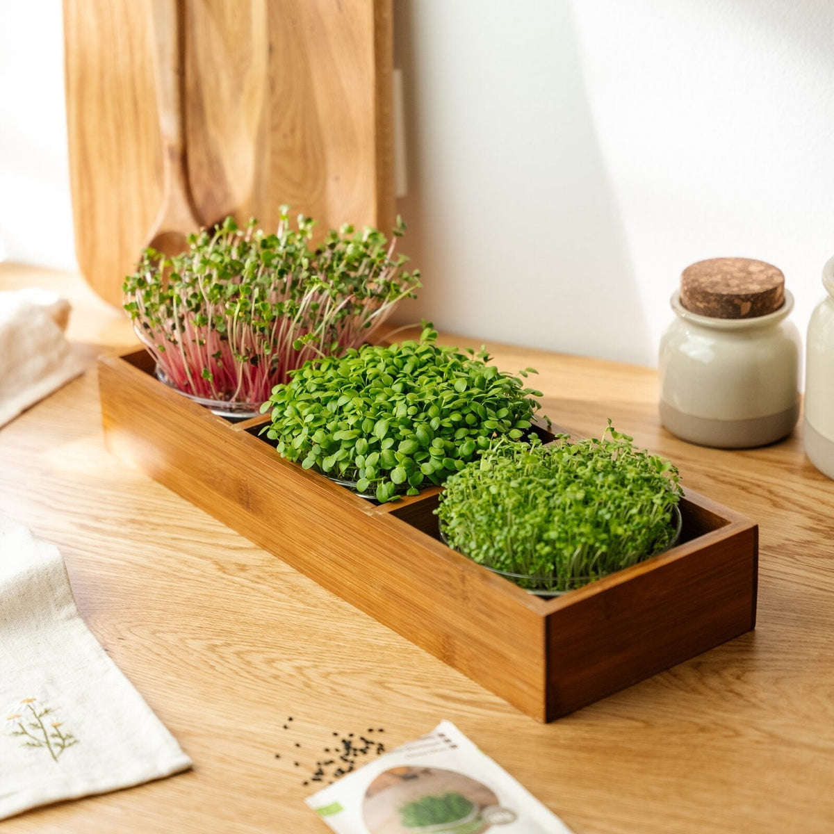 Microgreenbox mit Bambushalter - 6 Beutel Bio-Samen