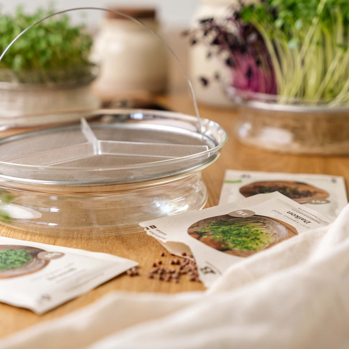 Microgreenbox mit großer Keimschale - 5 Tüten Biosamen