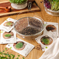 Microgreenbox mit großer Keimschale - 5 Tüten Biosamen