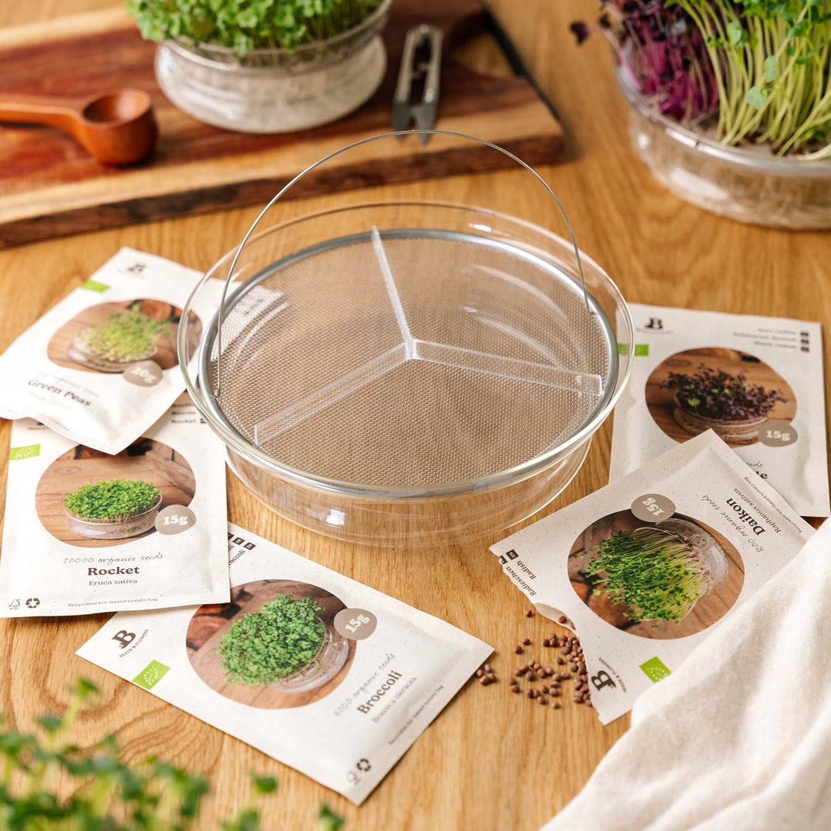 Microgreenbox mit großer Keimschale - 5 Tüten Biosamen