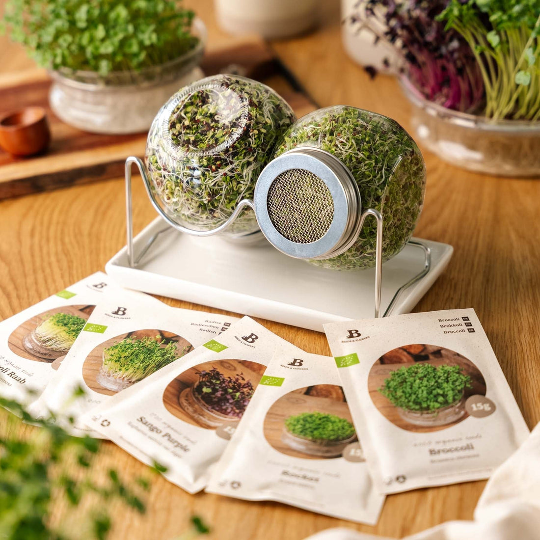 Microgreenbox mit Keimglas Set - 5 Tüten Biosamen