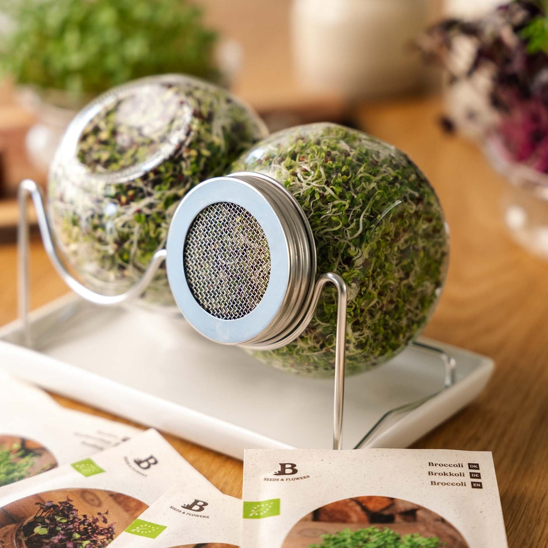 Microgreenbox mit Keimglas Set - 5 Tüten Biosamen