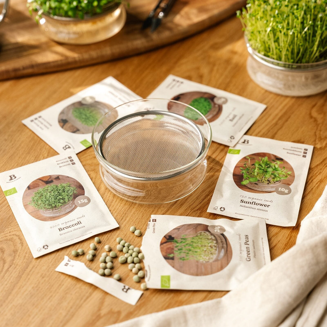 Microgreenbox mit Keimschale - 5 Tüten Biosamen
