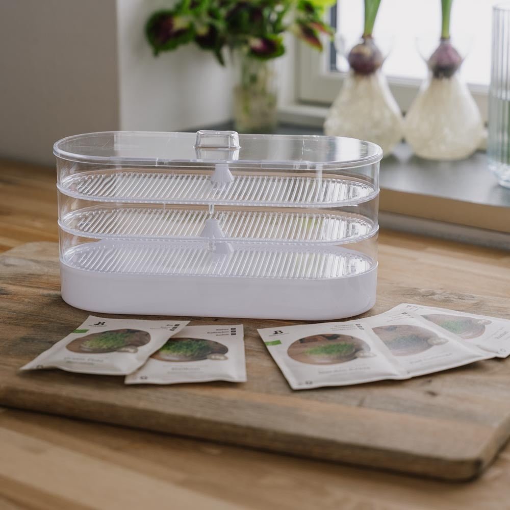 Microgreenbox mit Keimturm