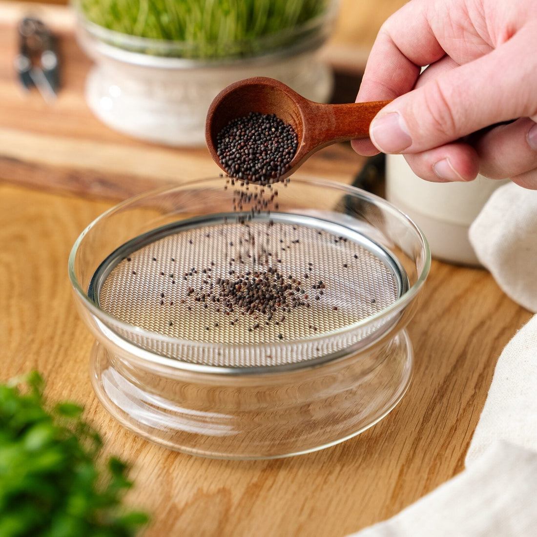 Microgreens-Dosierlöffel
