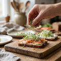 Microgreens Samen 'Luzerne' - 10000 Biosamen