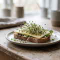 Microgreens Samen 'Luzerne' - 10000 Biosamen