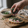 Microgreens Samen 'Roter Kohlrabi' - 4600 Biosamen