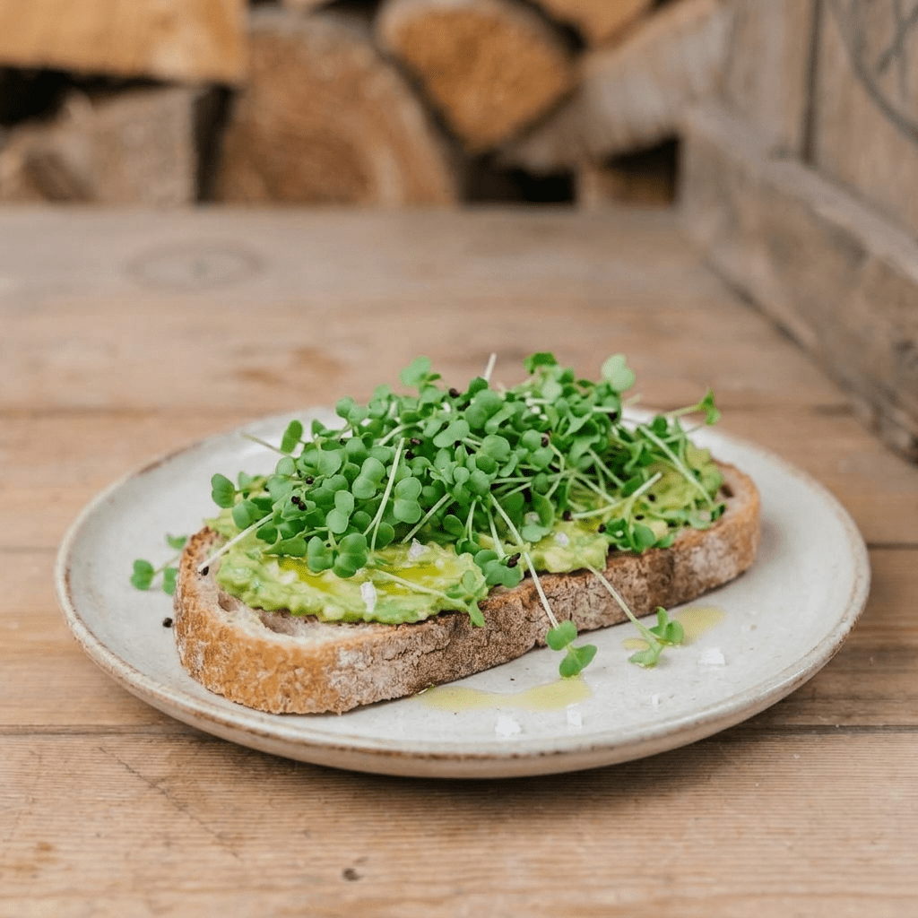 Microgreens Samen 'Brokkoli' - 4000 Biosamen