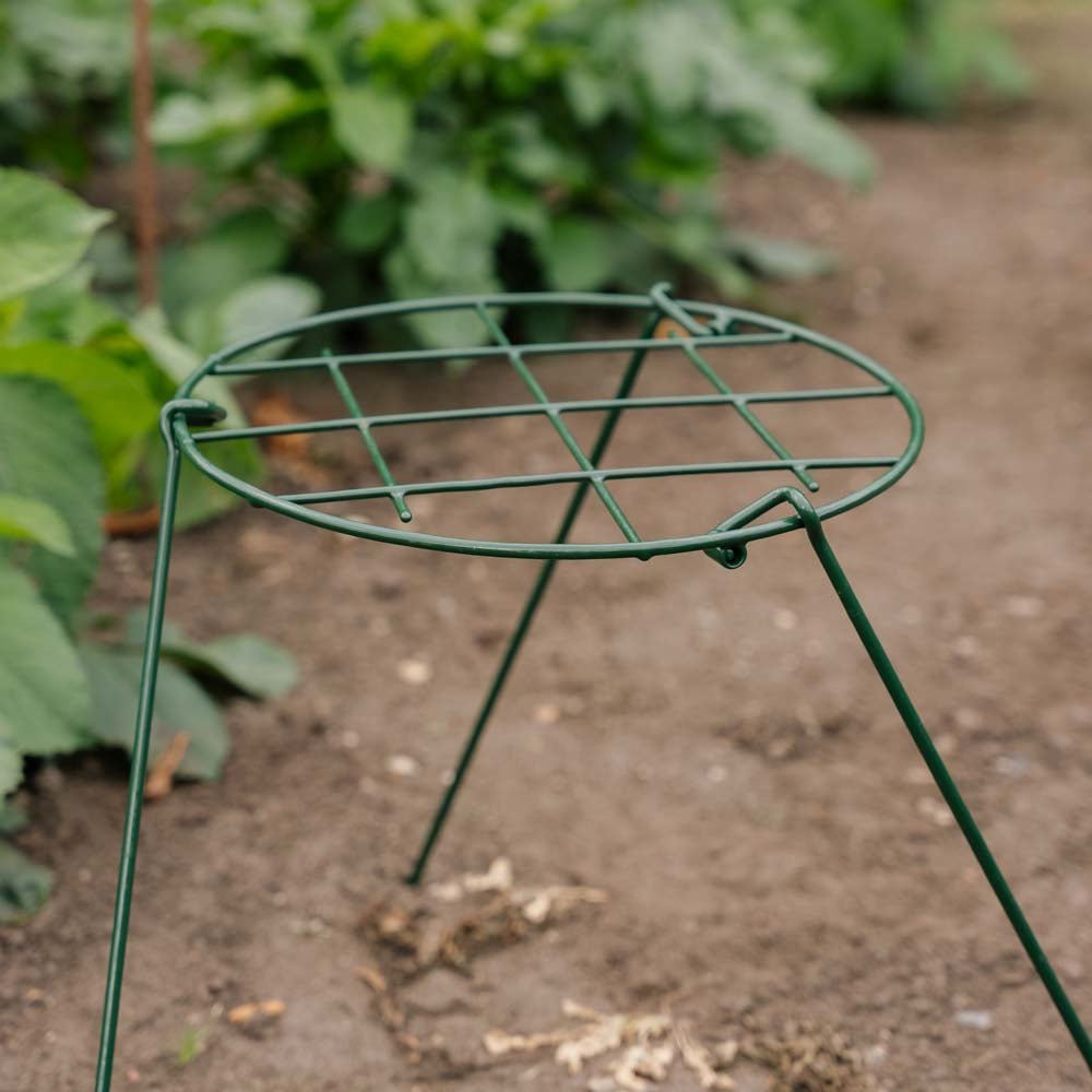 Pflanzennetz, B: 30 cm H: 45 cm