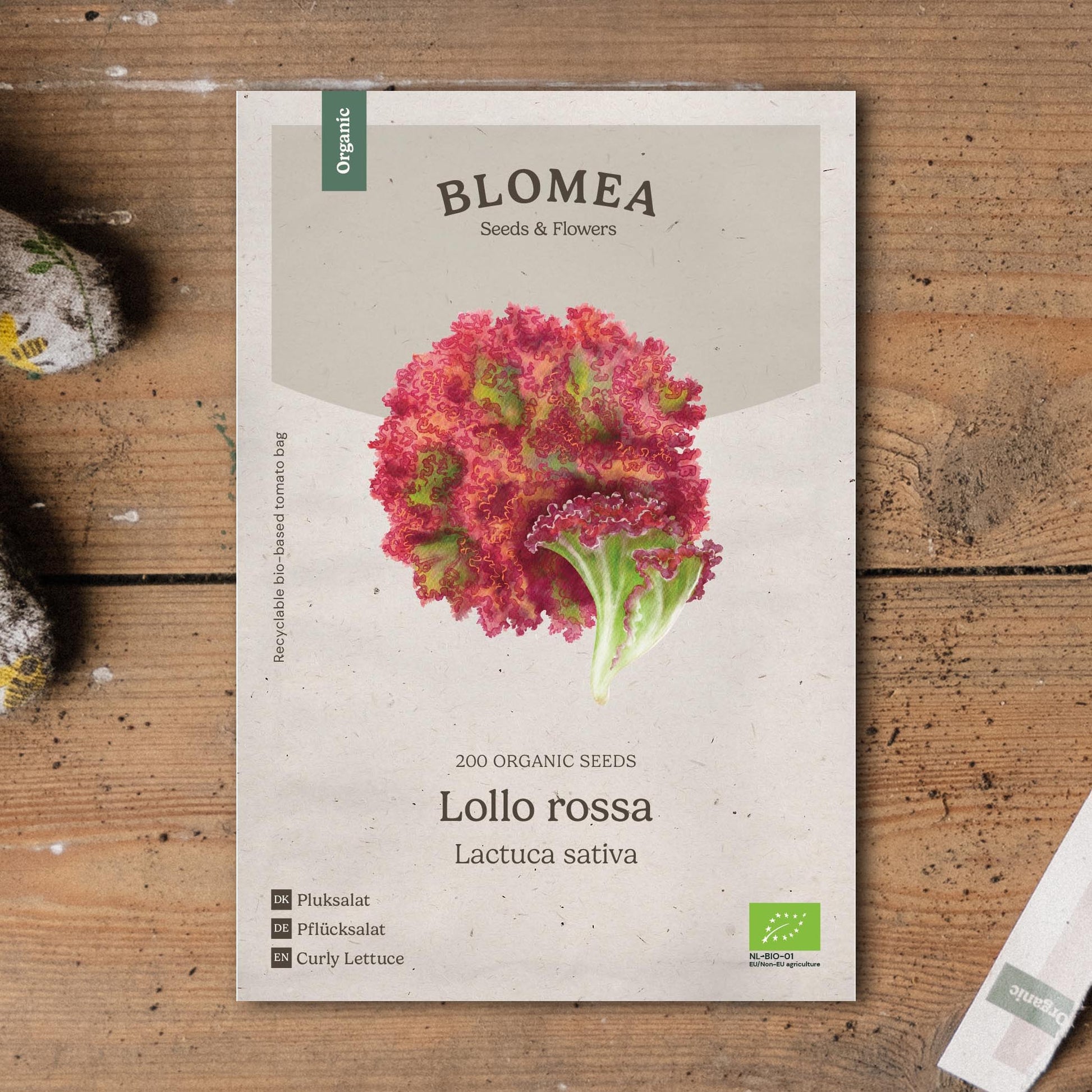 Pflücksalat Samen 'Lollo rossa' - 200 Biosamen