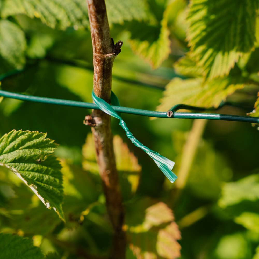 Plantetråd, 13 cm