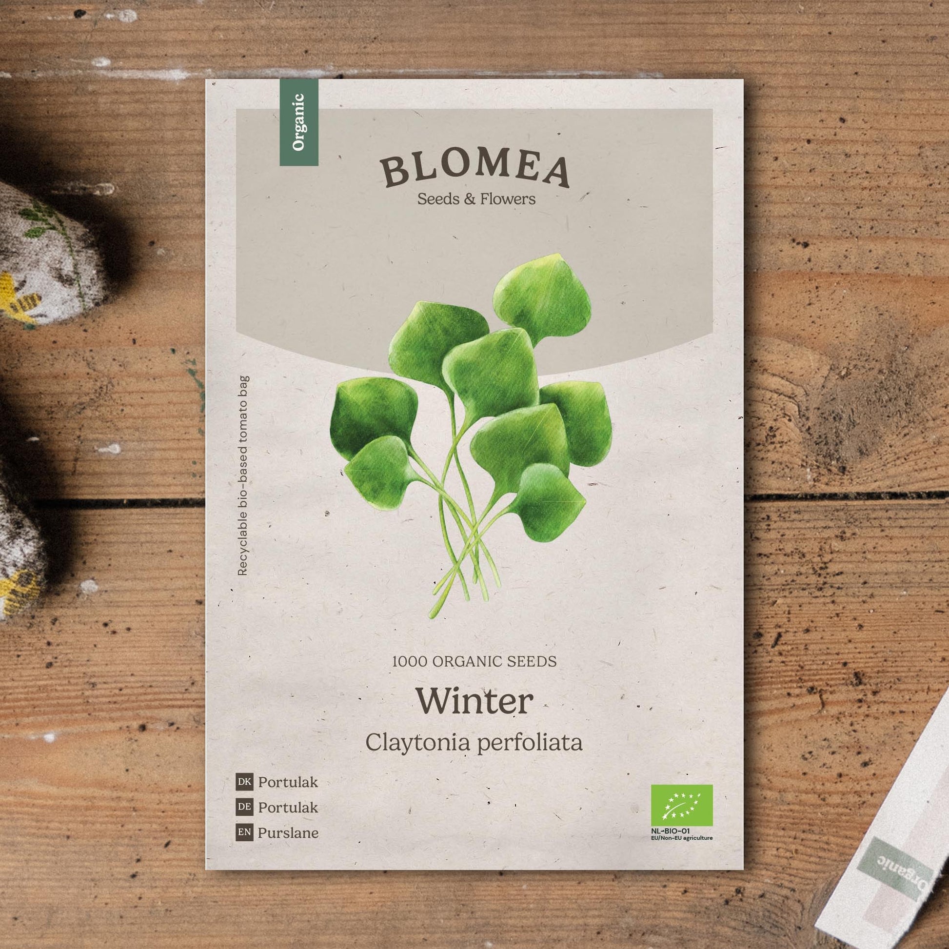 Portulak Samen 'Winter' - 1000 Biosamen