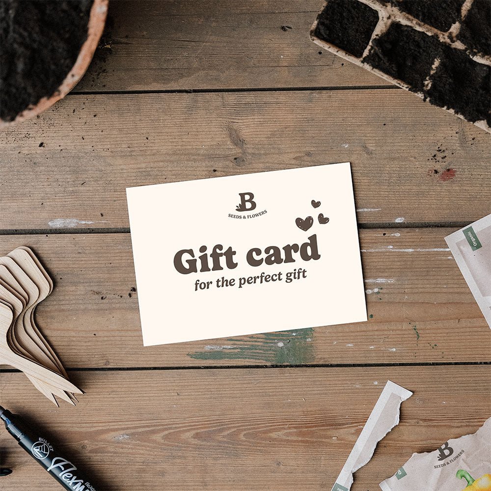 Print - Selbst - Geschenkgutschein