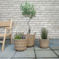 Rattan Pflanzkorb in Natur, 3 Stück