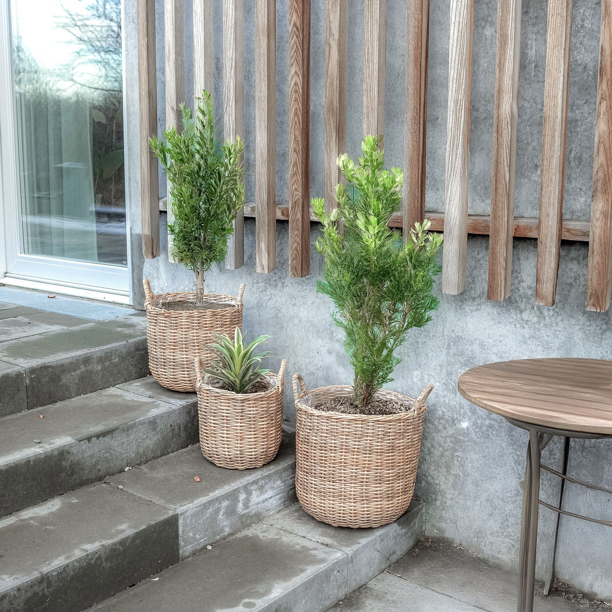 Set mit 3 Rattan-Pflanzkörben – Natürliche und gemütliche Gestaltung