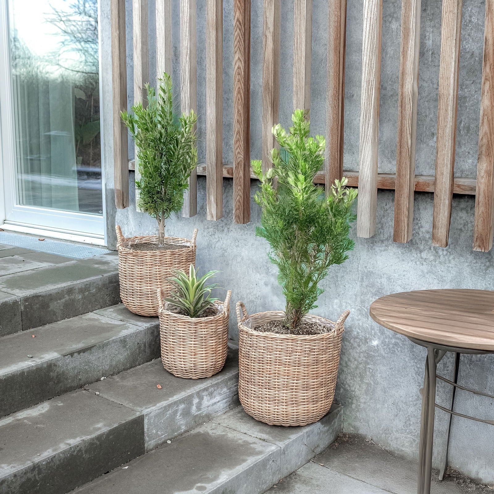 Rattan Pflanzkorb in Natur, 3 Stück