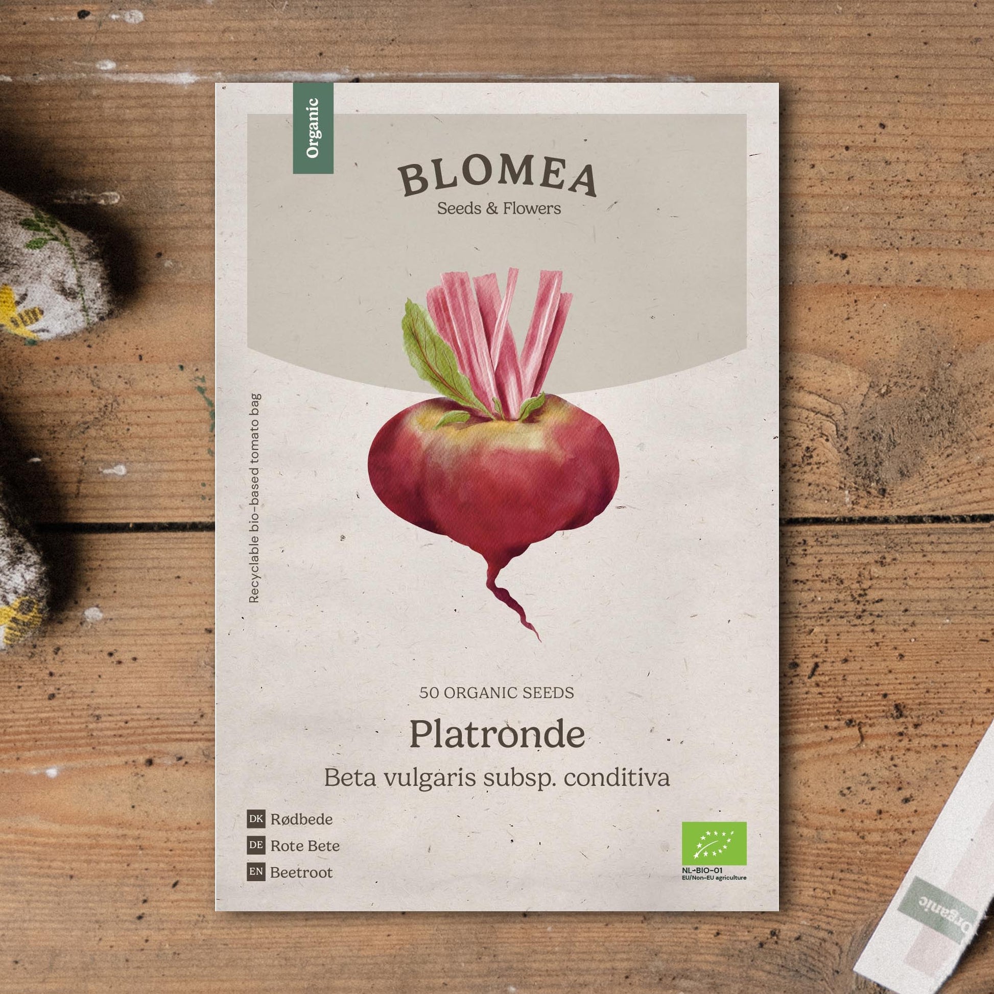 Rote Bete Samen 'Platronde' - 50 Biosamen