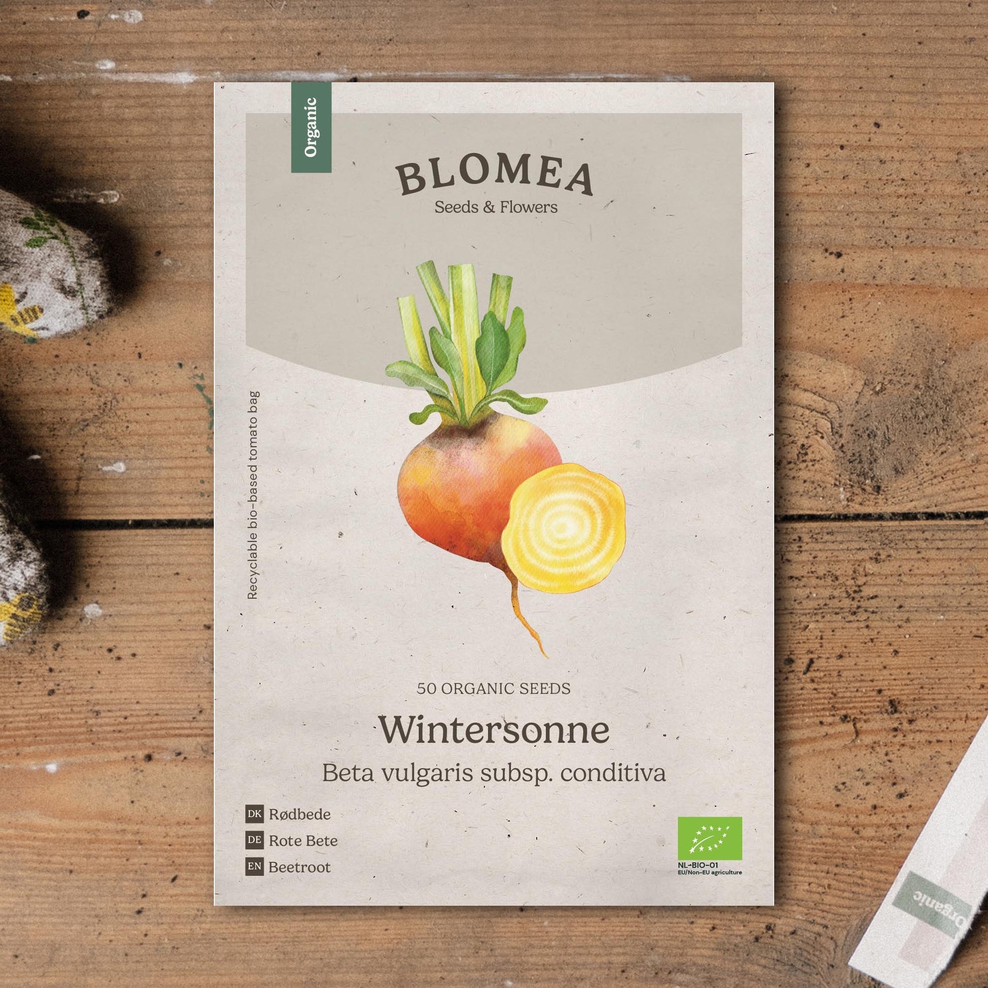 Rote Bete Samen 'Wintersonne' - 50 Biosamen