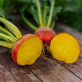 Rote Bete Samen 'Wintersonne' - 50 Biosamen
