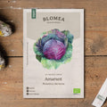 Rotkohl Samen 'Amarant' - 40 Biosamen