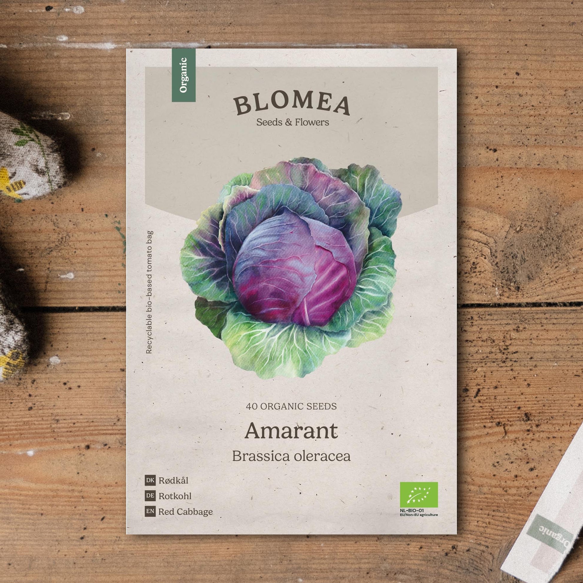 Rotkohl Samen 'Amarant' - 40 Biosamen