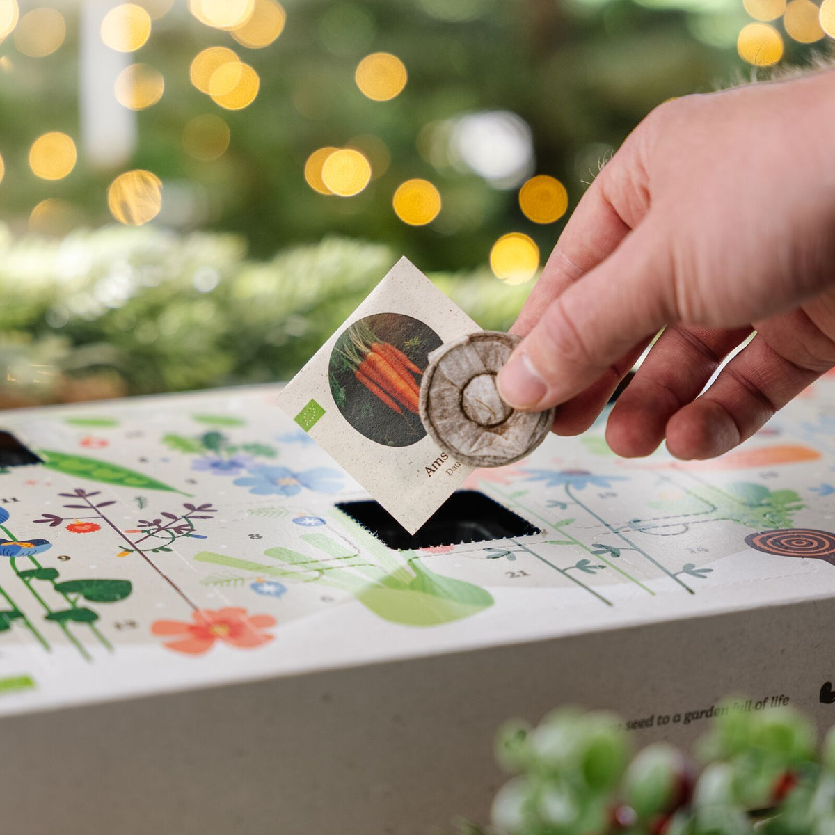 Samen Adventskalender