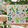 Samen Adventskalender