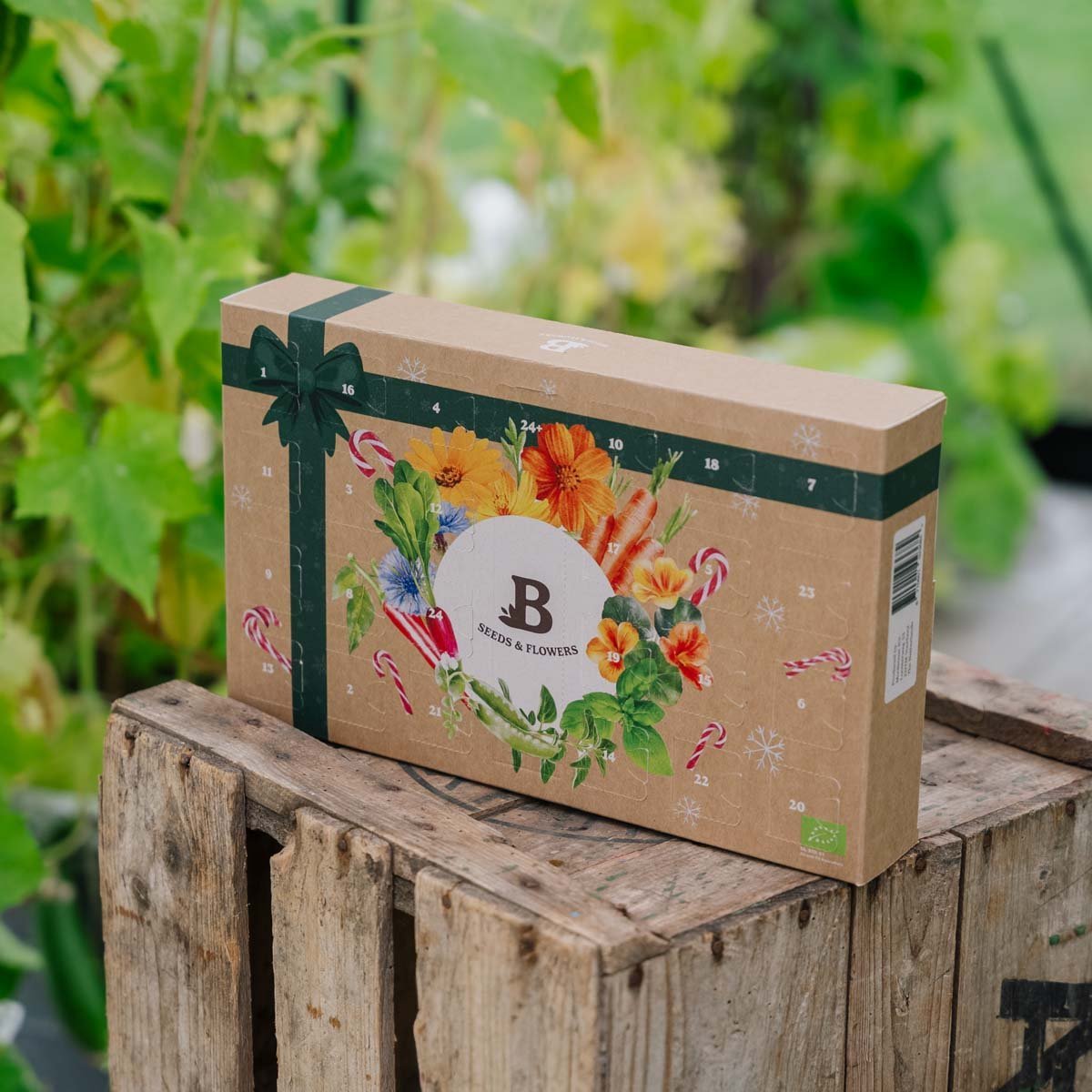 Samen Adventskalender