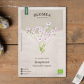 Seifenkraut Samen 'Soapwort' - 300 Biosamen