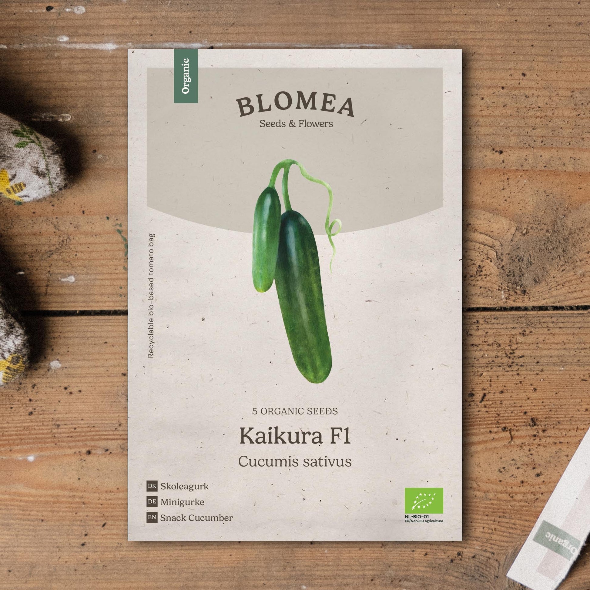 Skoleagurk 'Kaikura F1' - 5 Økologiske Frø