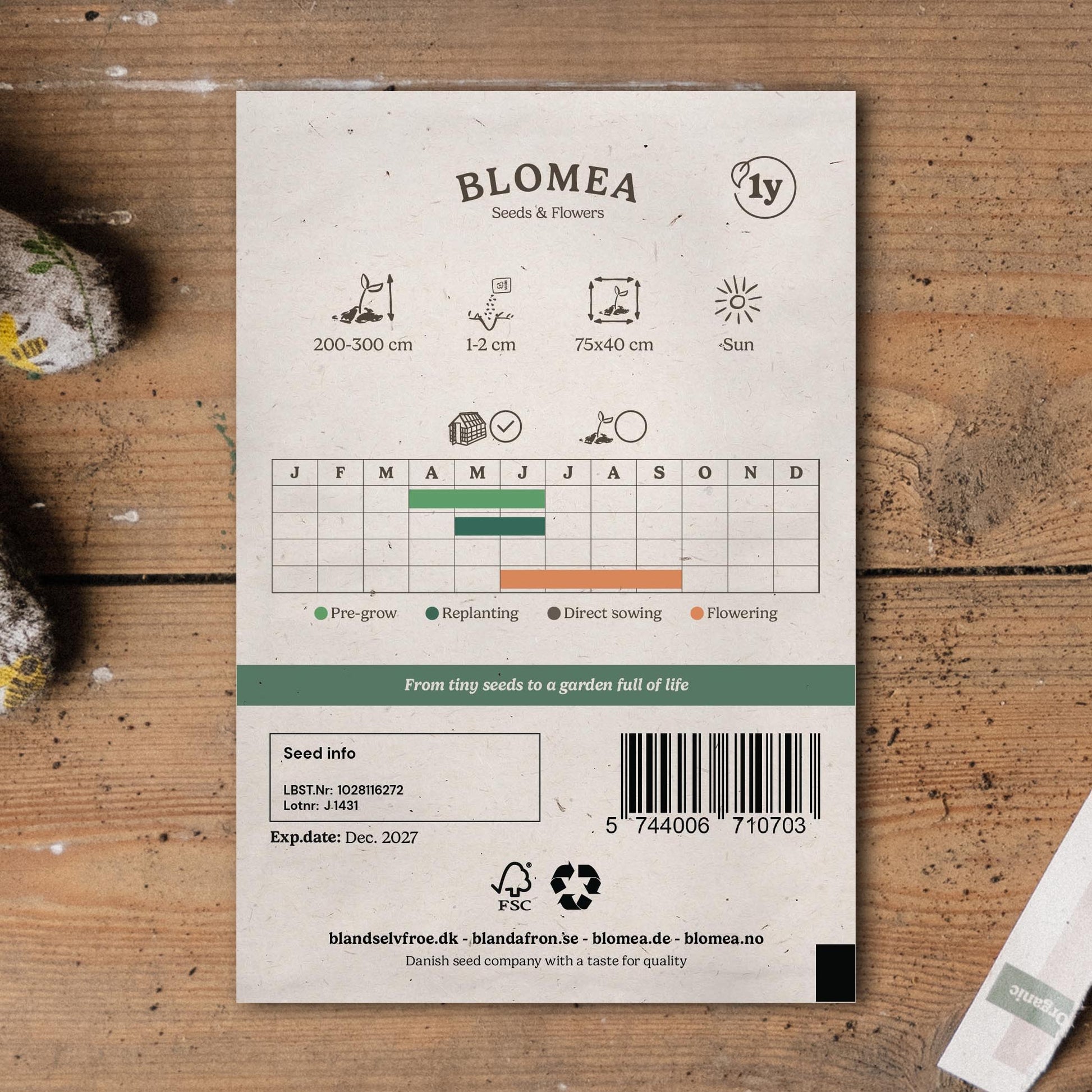 Skoleagurk 'Kaikura F1' - 5 Økologiske Frø