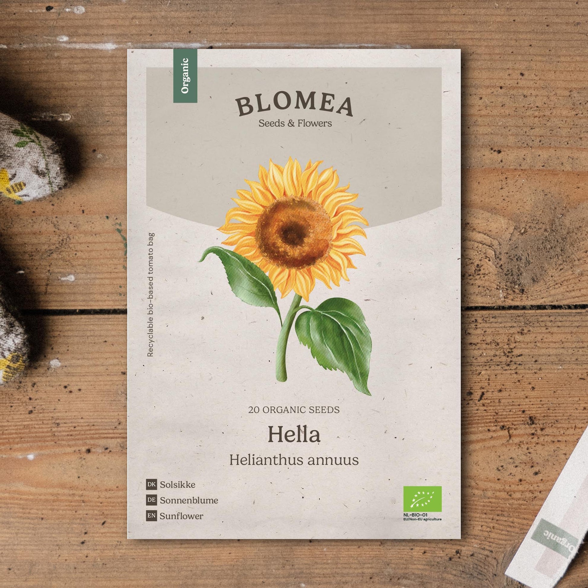 Sonnenblumensamen 'Hella' - 20 Biosamen
