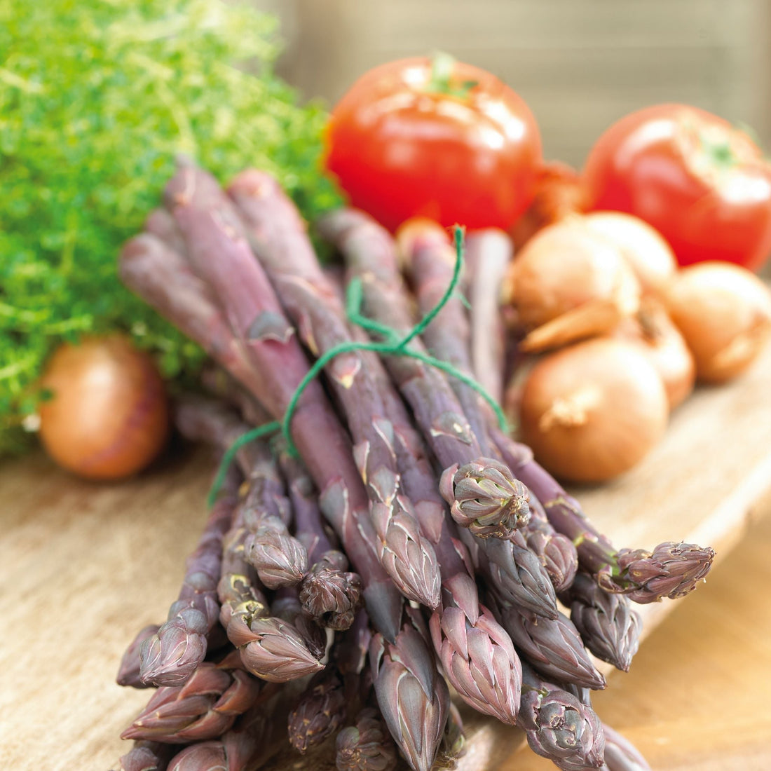 Spargel 'Erasmus'
