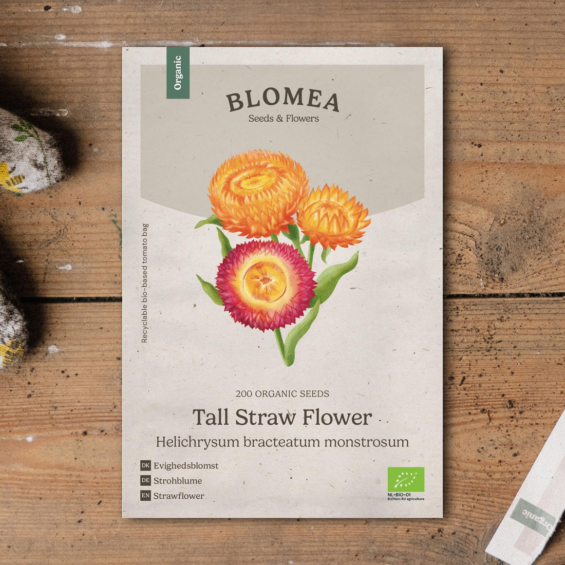 Strohblumen Samen 'Tall Straw Flower' - 200 Biosamen