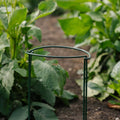 Stützbügel für Pflanzen, B: 20 cm H: 35 cm