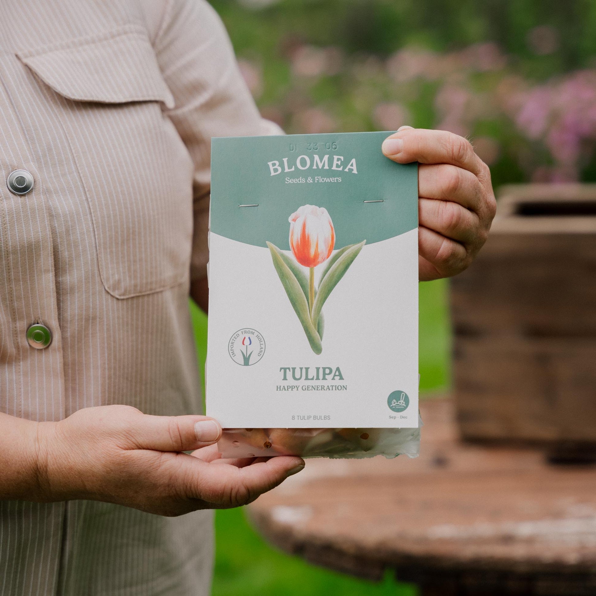 Tulpe 'Happy Generation'