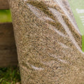 Turfline Dänischer Rasensamen, 1,8 kg (60 m²)