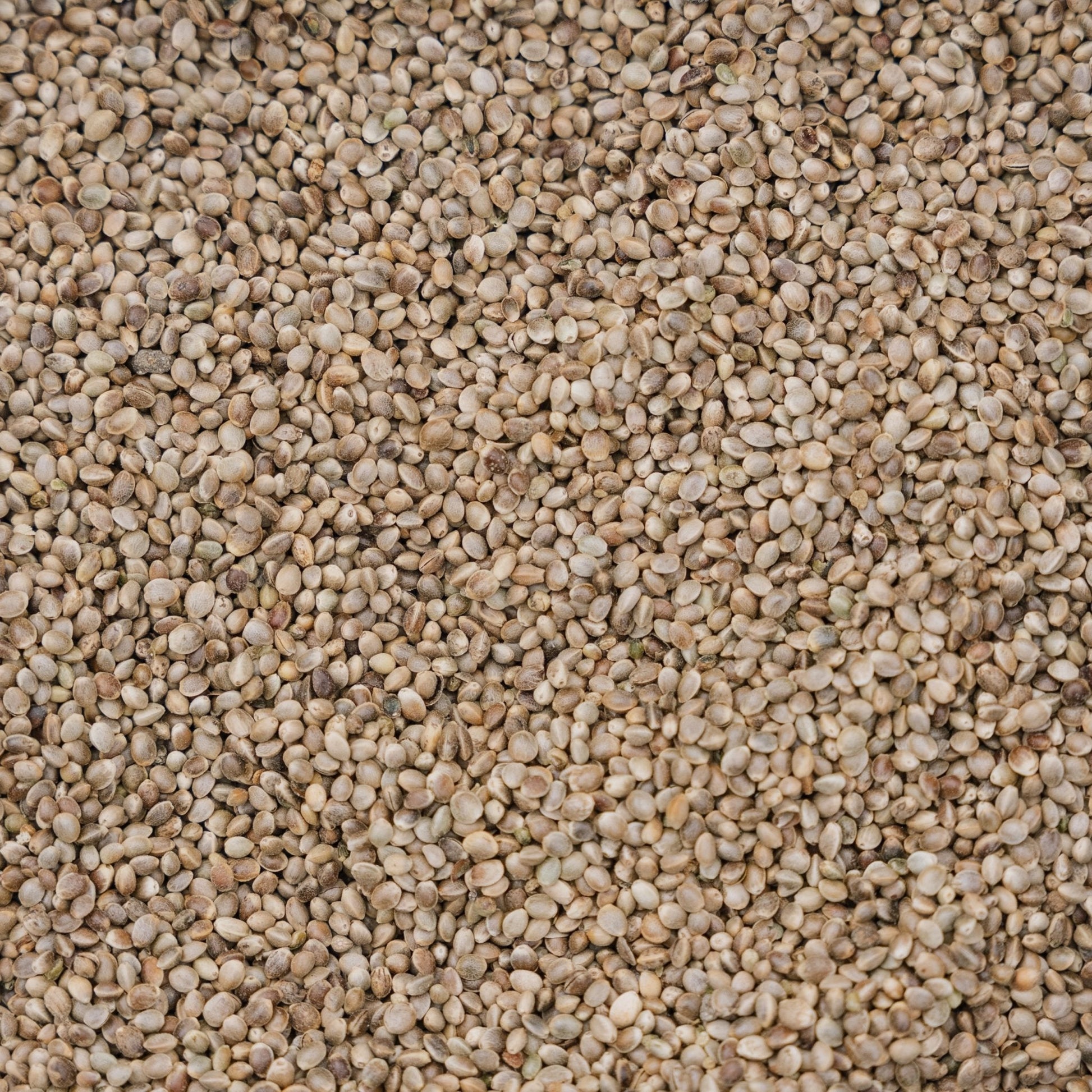 Vogelfutter, Hanf de Luxe, 5 L