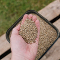 Vogelfutter, Hanf de Luxe, 5 L