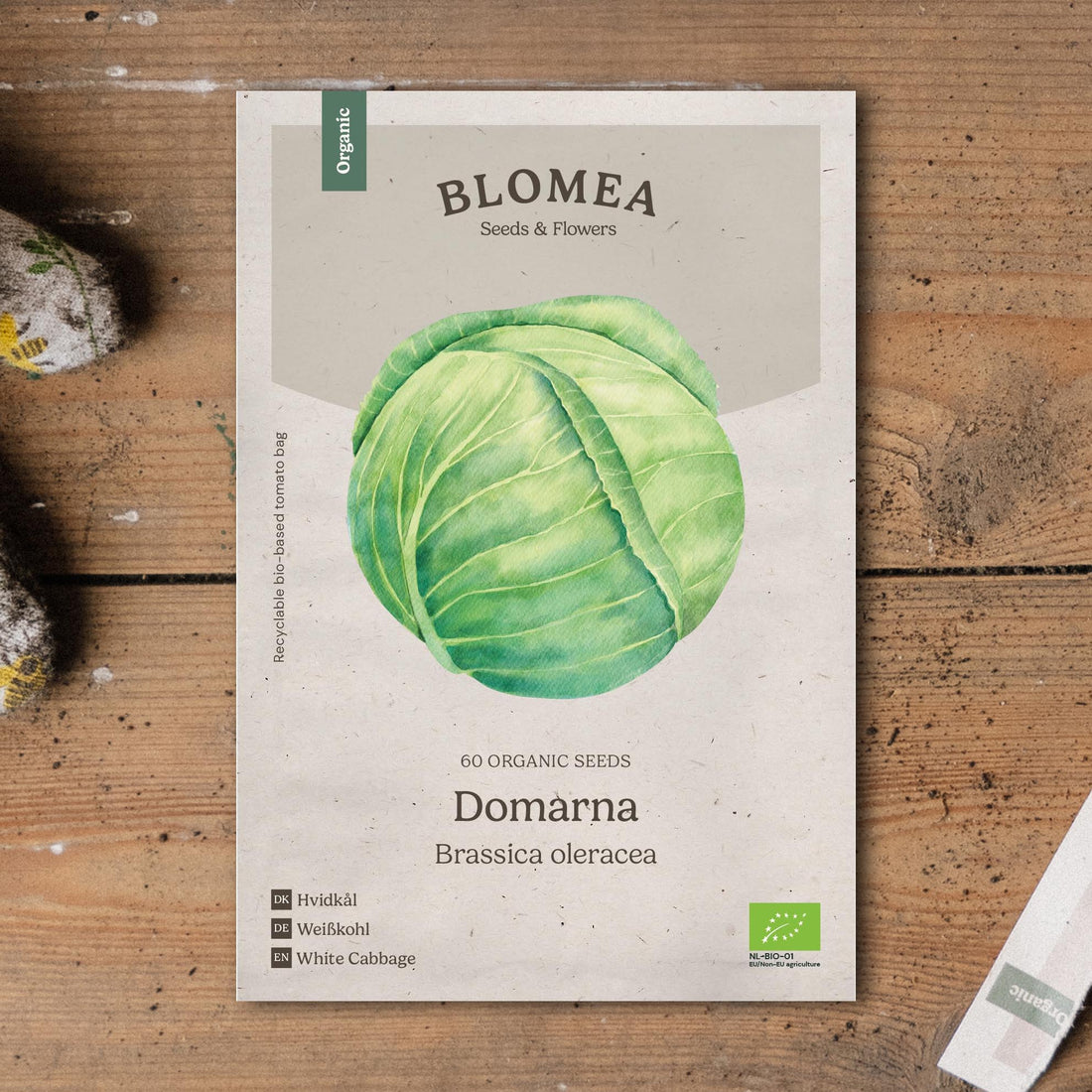 Weißkohl Samen 'Domarna' - 60 Biosamen