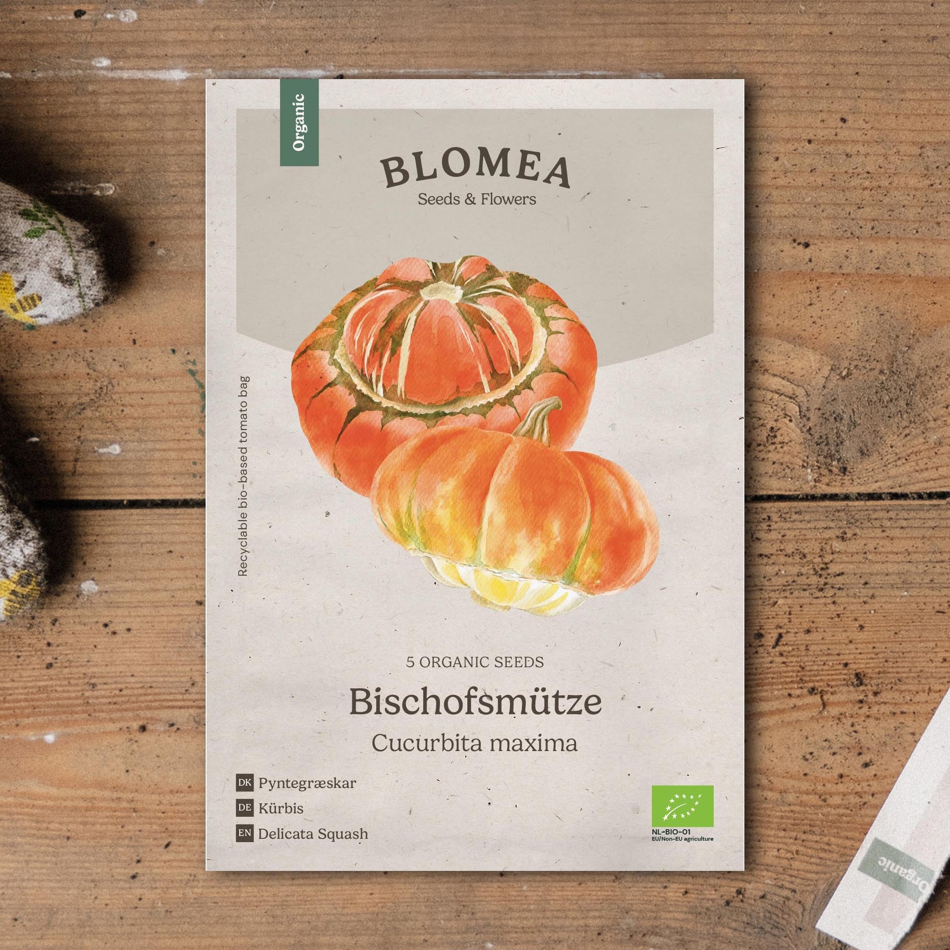 Zierkürbis Samen 'Bischofsmütze' - 5 Biosamen
